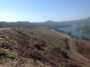 Terreno p/ const. altura para Compra