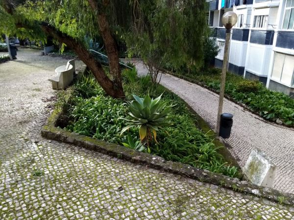 Piso T1, para Alquiler