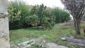 Casa pareada T1, para Compra