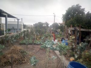 Terreno p/ const. Vivienda, para Compra