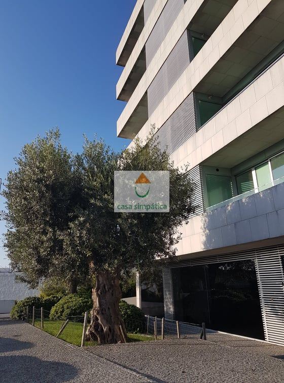 Apartamento 3 Quartos, Rio Tinto, Gondomar (Porto)