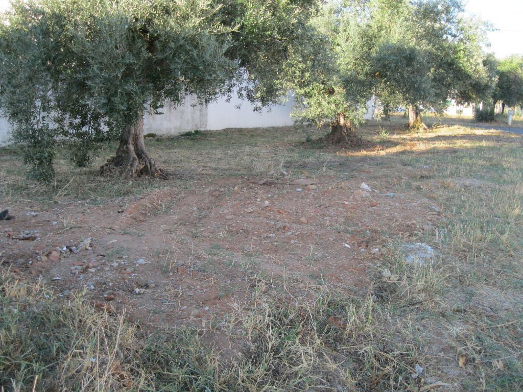 Terreno P/ Moradia para Venda em São João Baptista Foto 2 / 2
