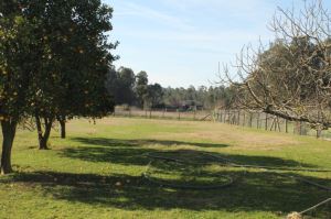 Rustic land, para Sale