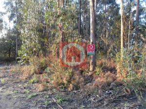 Rustic land, para Sale