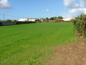 Agricultural land, para Sale