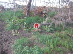 Rustic land, para Sale