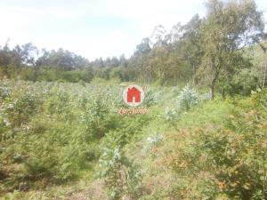 Rustic land, para Sale