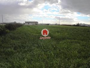 Terreno agrícola para Arrendamento