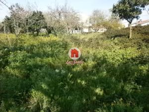 Detached house T6, para Sale