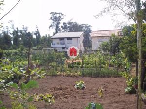 Casa pareada T2, para Compra