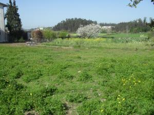 Land for house construction, para Sale