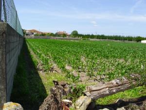 Agricultural land, para Sale
