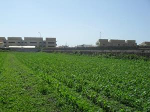 Land for high-rise construction, para Sale