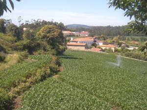 Land for house construction, para Sale