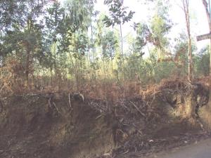 Housing estate for Warehouse, para Sale