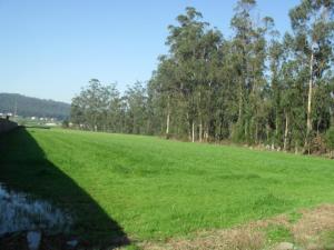 Industrial land, para Sale