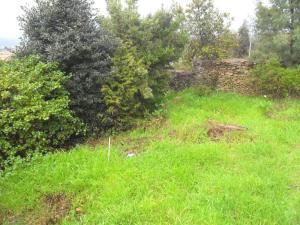 Detached house T3, para Sale