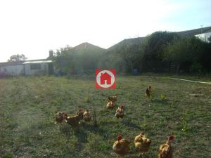 Mixed land, para Sale