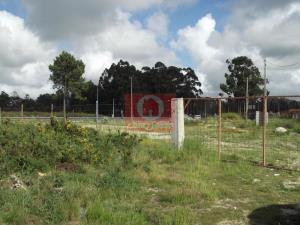 Terreno agrícola, para Alquiler