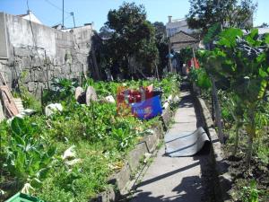 Terreno para moradia para Compra