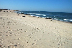 Detached house T3, para Sale