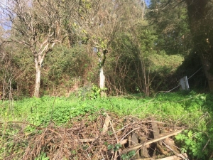 Drawer T3, para Sale