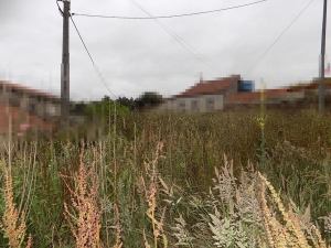 Detached house, para Sale