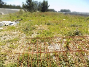 Lot for individual housing, para Sale