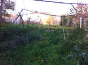 Rustic land, para Sale