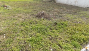 Land for house construction, para Sale