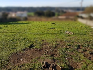 Land for house construction, para Sale