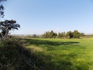 Terreno agrícola, para Compra