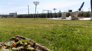 Mixed land, para Sale