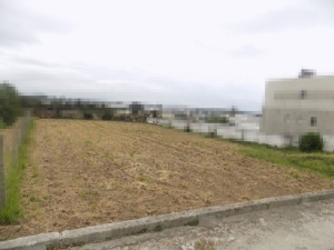 Mixed land, para Sale