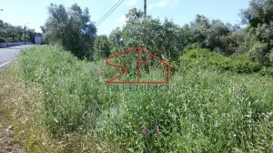 Terreno rústico para Compra