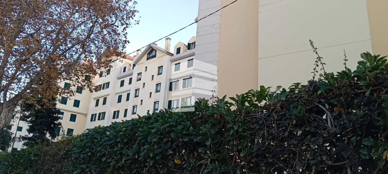 Apartamento T4 para Venda em São Martinho Foto 3