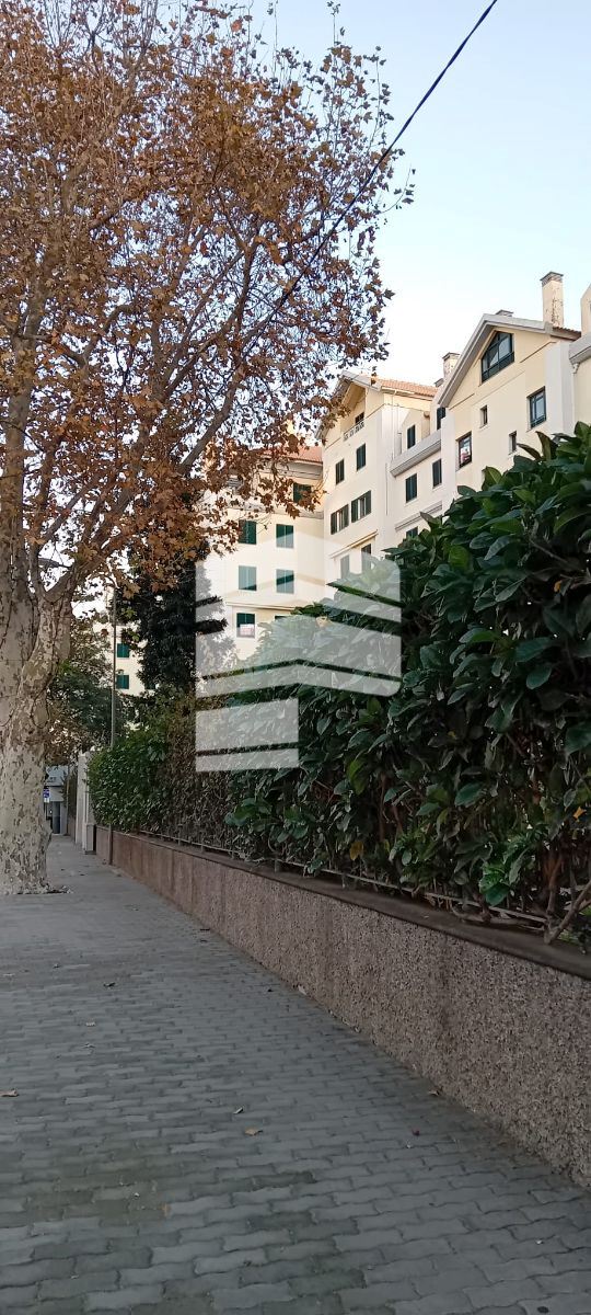 Apartamento T4 para Venda em São Martinho Foto 4