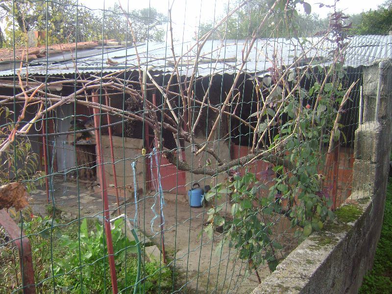 Terreno Agricola ou Rústico para Venda em Salgueiro do Campo