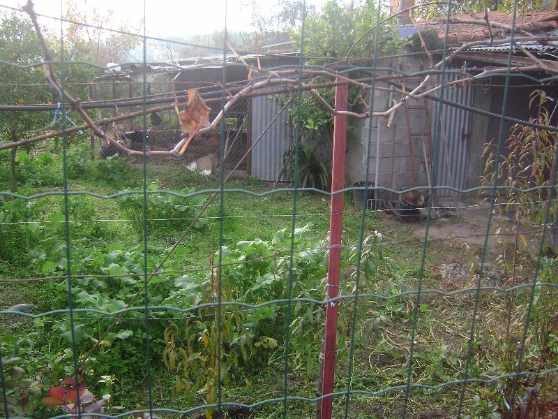 Terreno Agricola ou Rústico para Venda em Salgueiro do Campo