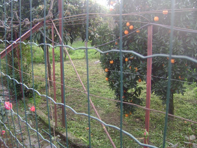 Terreno Agricola ou Rústico para Venda em Salgueiro do Campo