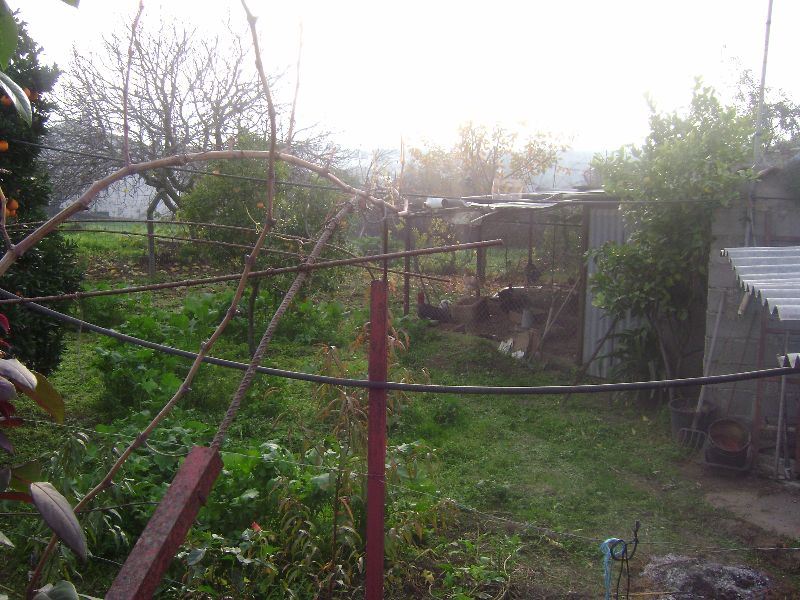 Terreno Agricola ou Rústico para Venda em Salgueiro do Campo