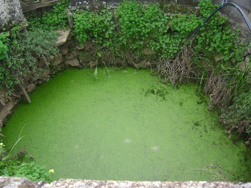 Terreno Agricola ou Rústico para Venda em Salgueiro do Campo