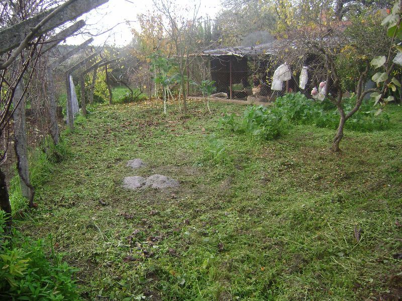 Terreno Agricola ou Rústico para Venda em Salgueiro do Campo