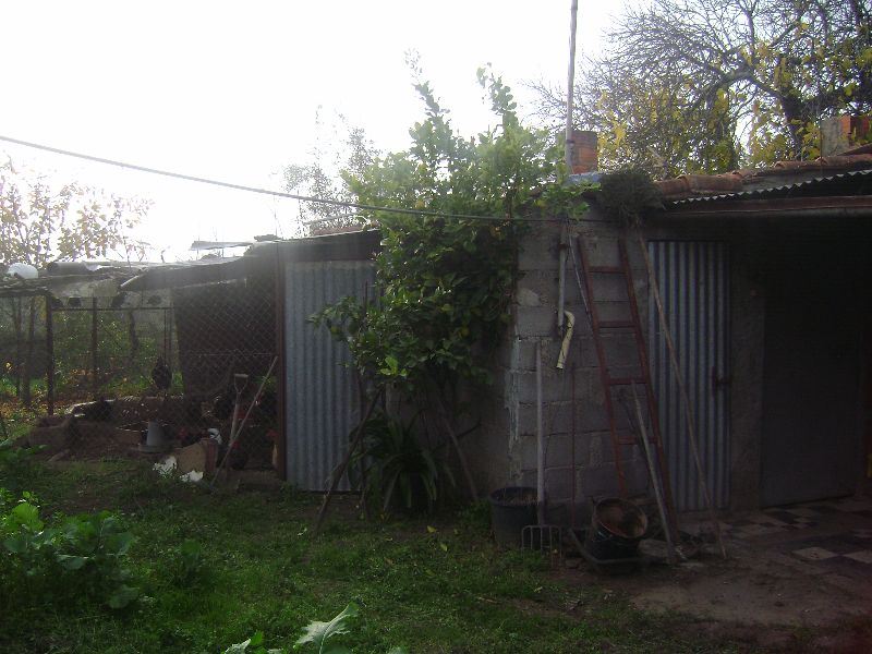 Terreno Agricola ou Rústico para Venda em Salgueiro do Campo