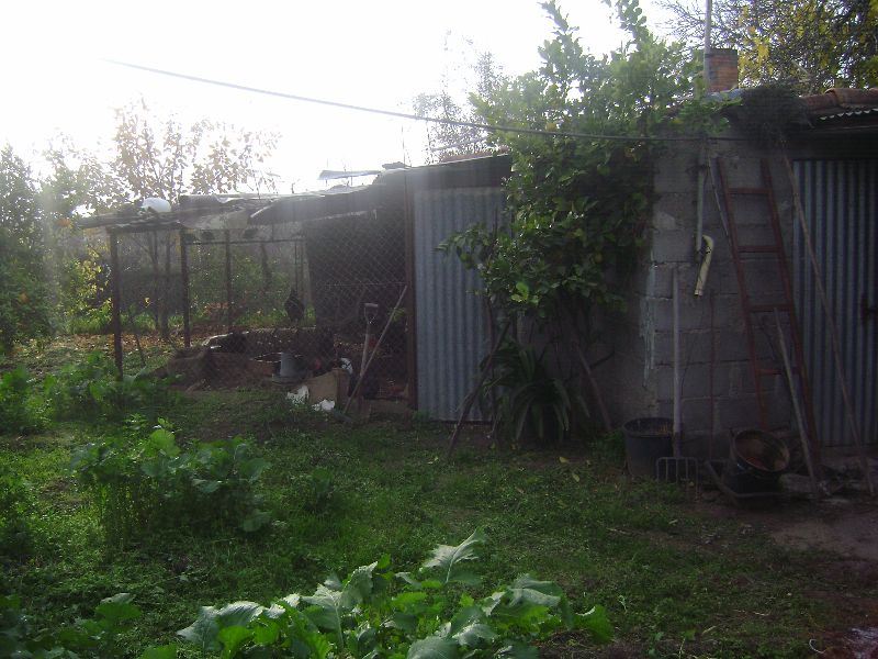 Terreno Agricola ou Rústico para Venda em Salgueiro do Campo