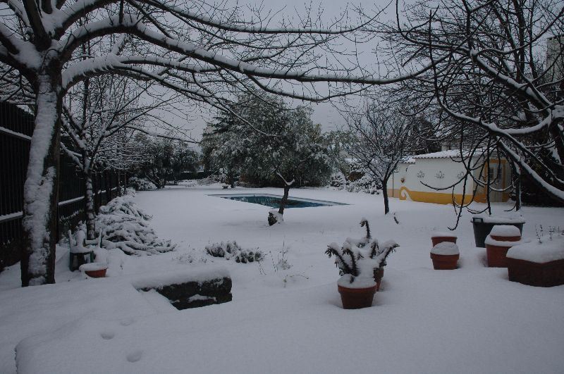 Moradia T6 para Venda em Castelo Branco