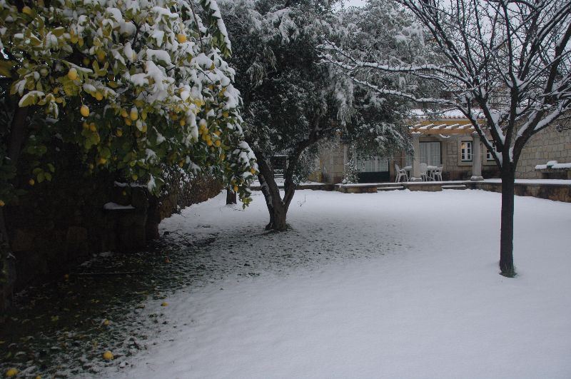 Moradia T6 para Venda em Castelo Branco