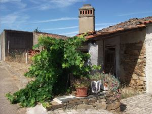 Quintinha, para Compra