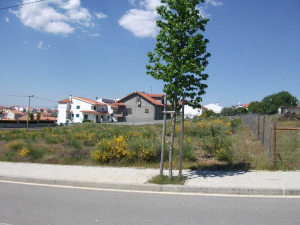 Terreno para Venda em Castelo Branco