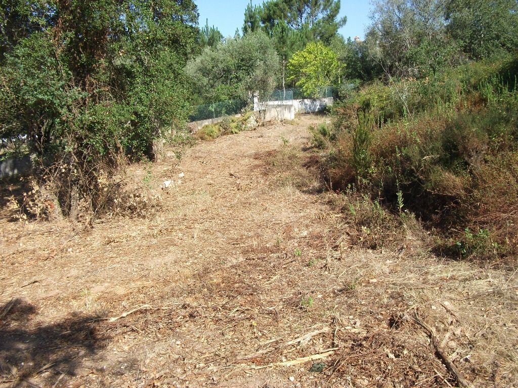 Terreno Agricola ou Rústico para Venda em Eiras e São Paulo de Frades